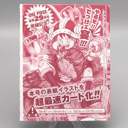 One Piece 29th Anniversary – Edizione Speciale 🍗