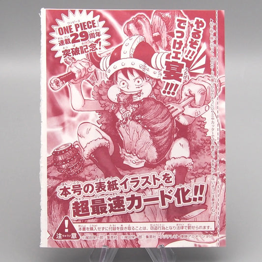 One Piece 29th Anniversary – Edizione Speciale 🍗